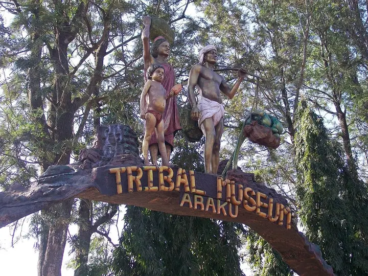 Araku Tribal Museum
