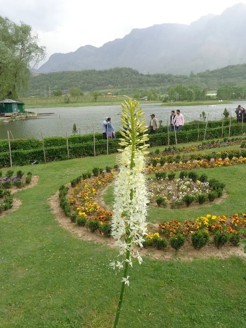 Botanical Garden