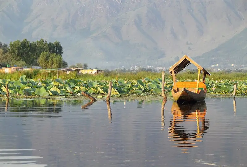 Shikara ride on Dal Lake
