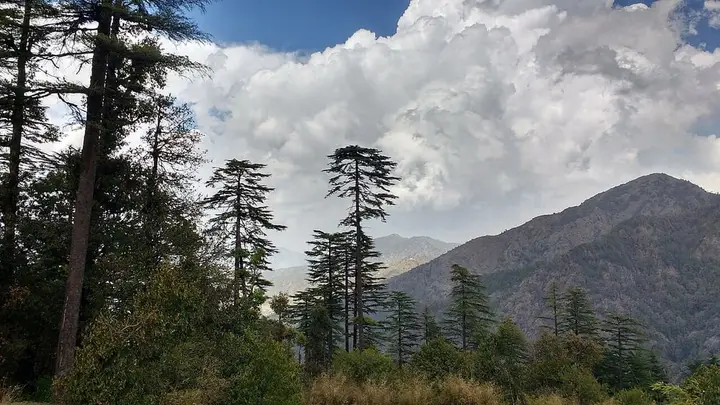 Dhanaulti Eco Park