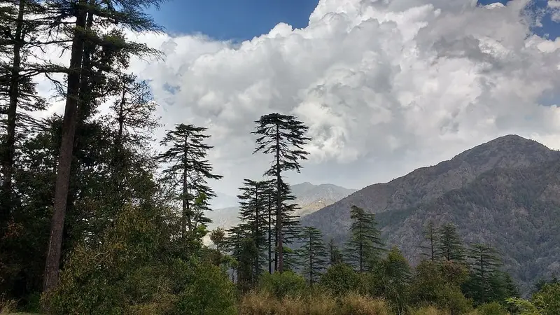 Dhanaulti Eco Park