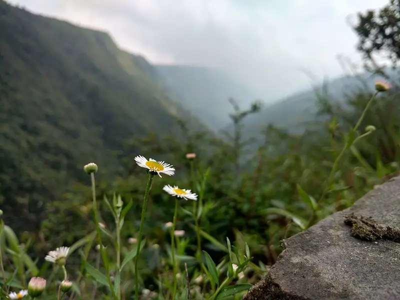Duwan Sing Syiem viewpoint, Mawkdok