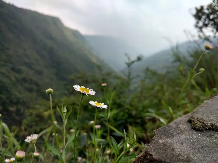 Duwan Sing Syiem viewpoint, Mawkdok