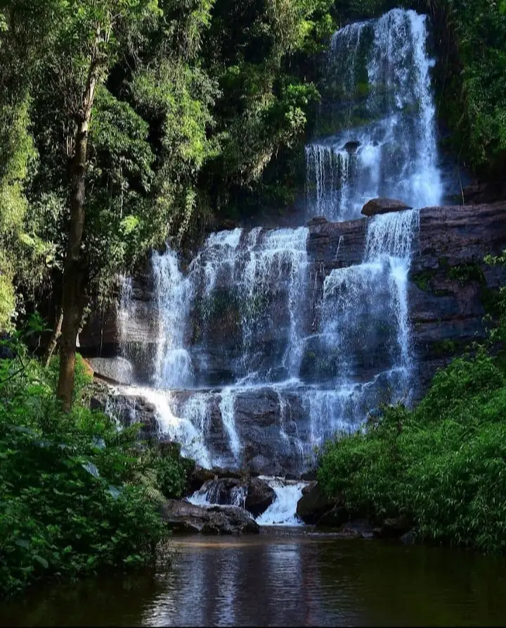 Jhari Falls