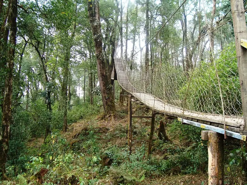 Lolegaon heritage forest
