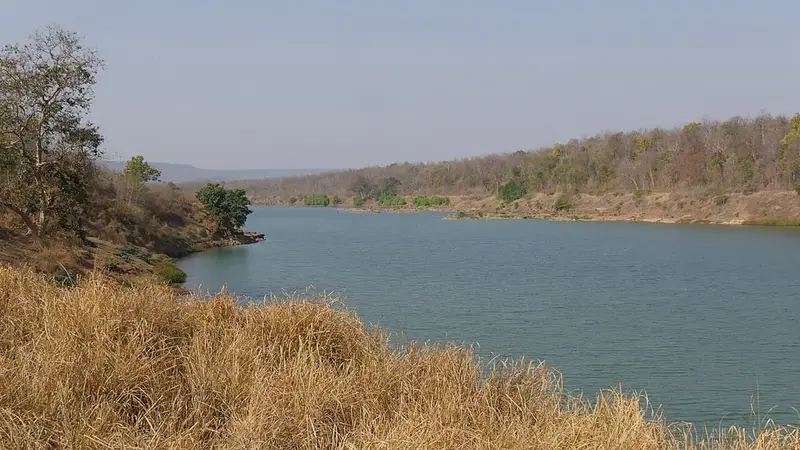 Panna Tiger Reserve safari