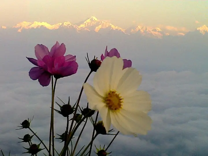 Rishop Kanchenjunga viewpoint