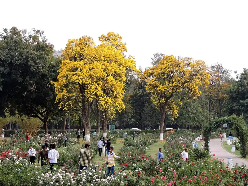 Zakir Hussain Rose Garden