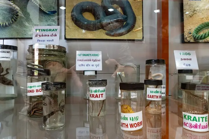 Shenbaganur Museum