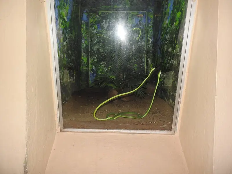 Chennai Snake Park