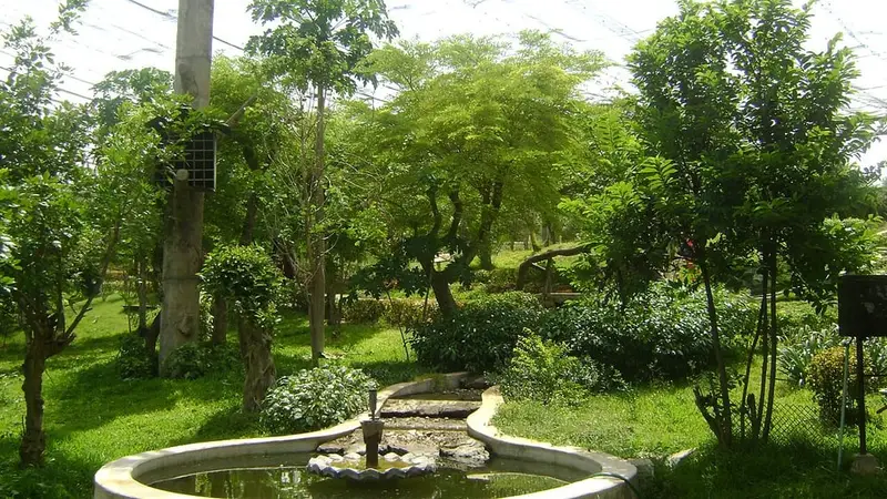 Arignar Anna Zoo, Vandalur